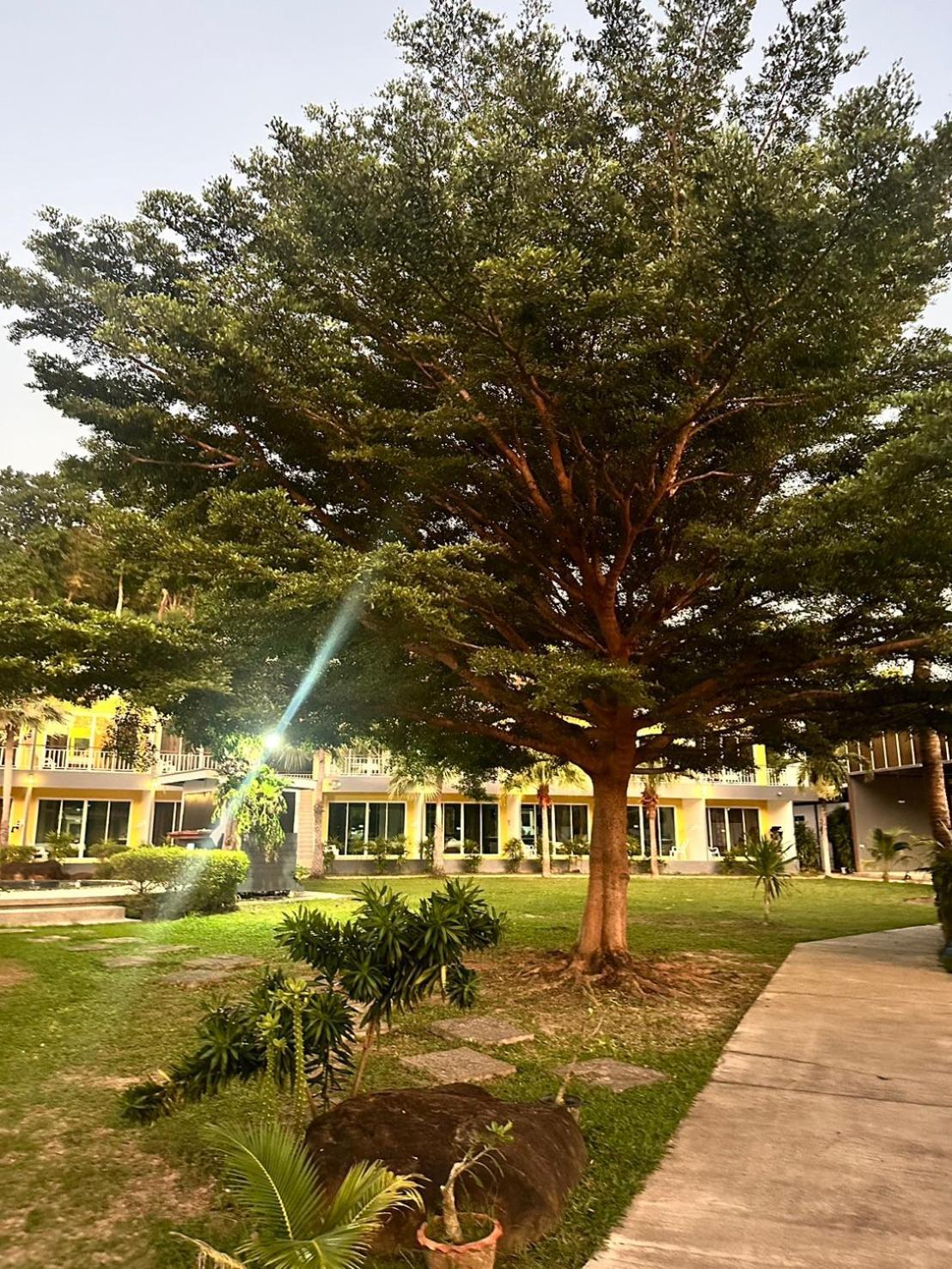 Gypsy Sea View Resort- Phi Phi Island Luaran gambar